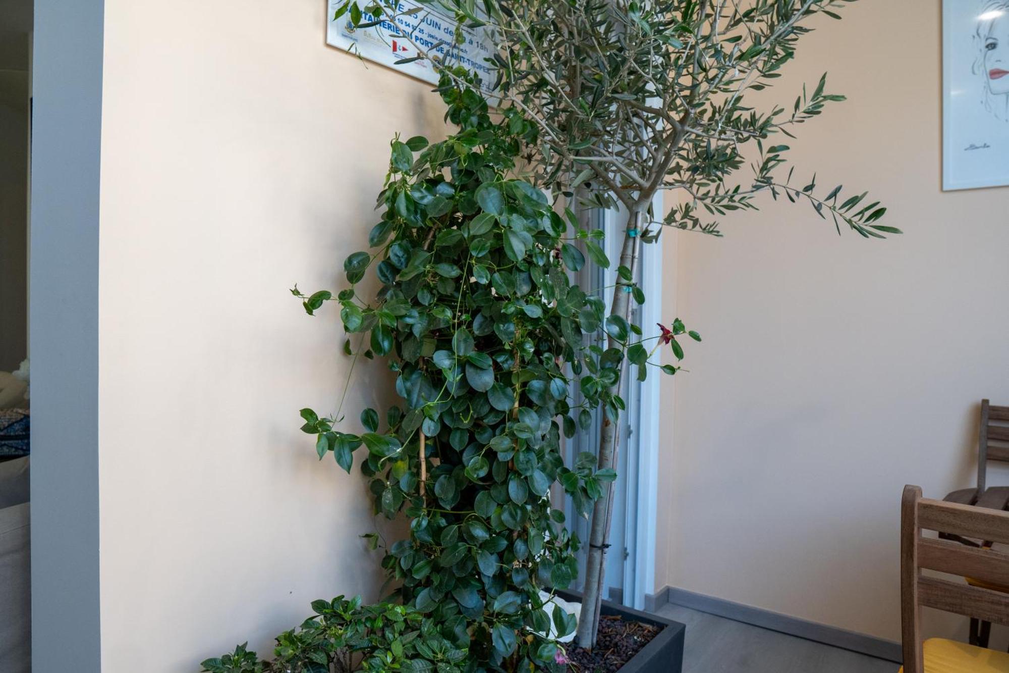 T2! 3 Ou 4 Personnes Centre Neuf Avec Garage * Sanary-sur-Mer